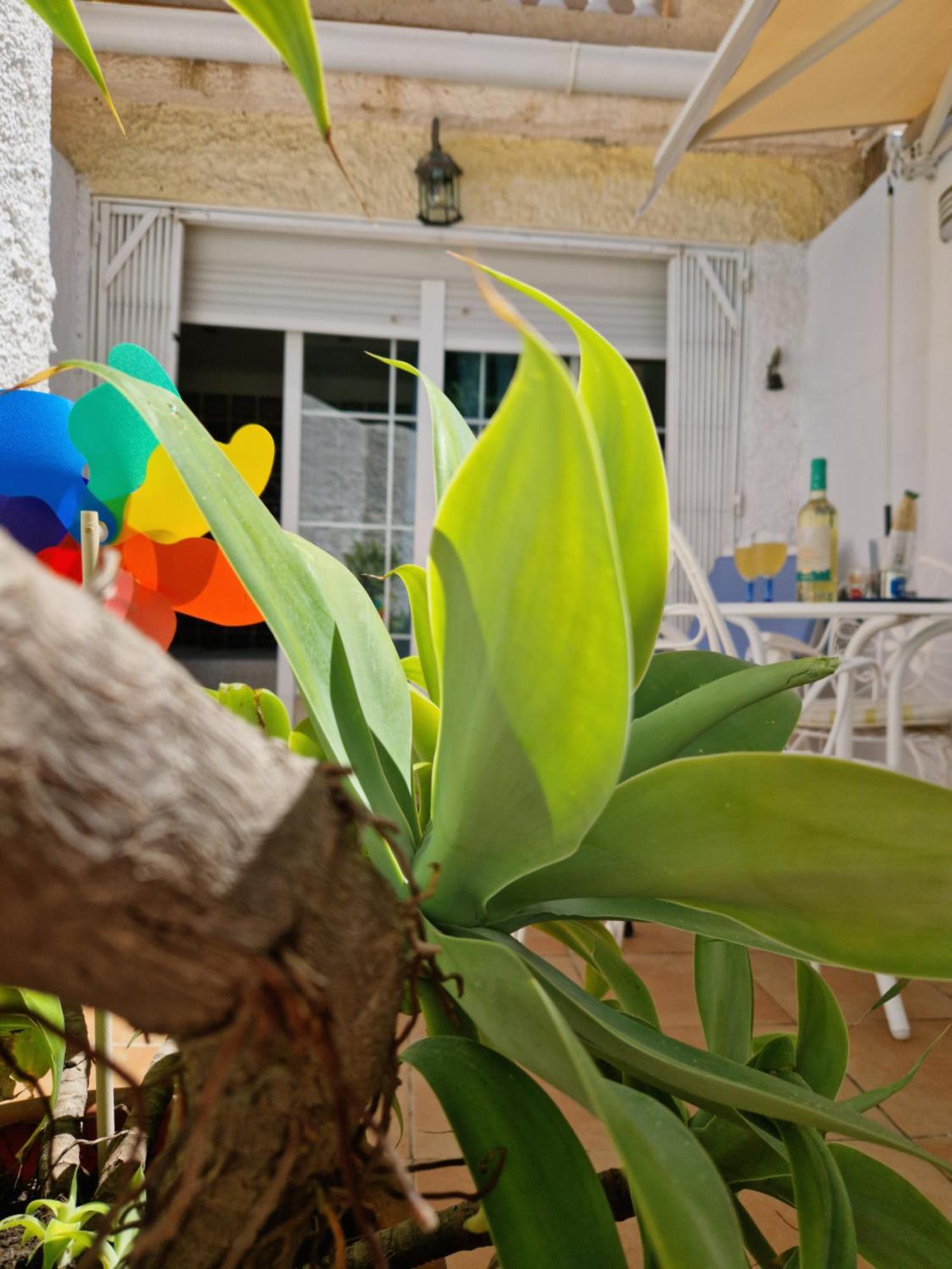 San Antonio - Beach, Pool And Terrace ตอร์เรโมลิโนส ภายนอก รูปภาพ